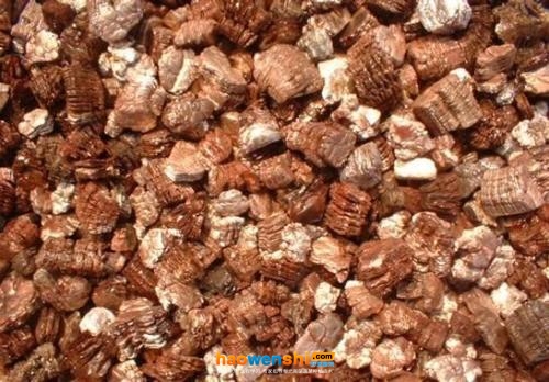 蛭石.jpg 蛭石.jpg