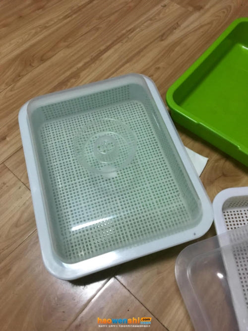 芽苗菜盆.jpg 芽苗菜盆.jpg