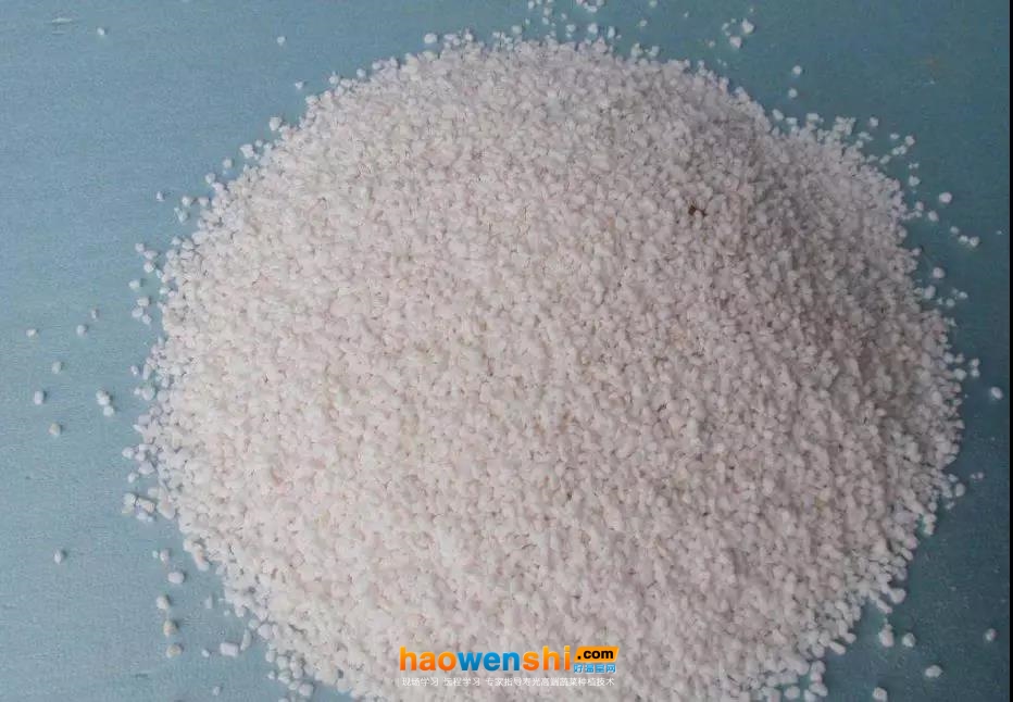 珍珠巖.jpg 珍珠巖.jpg