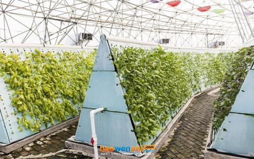 復合栽培.jpg 復合栽培.jpg