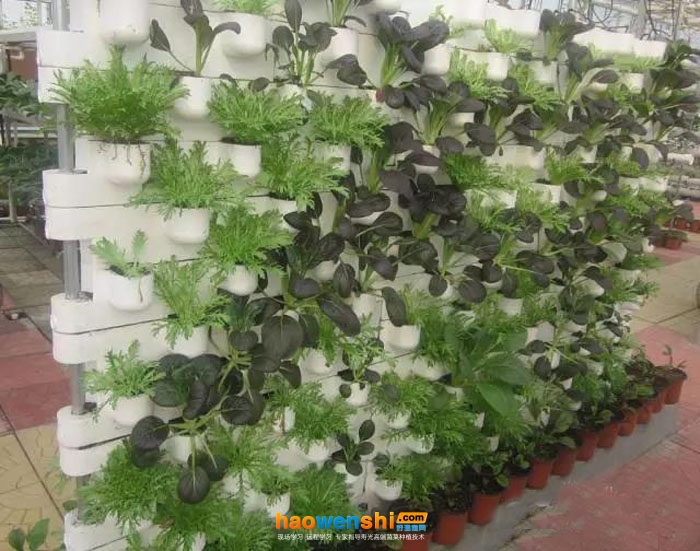 立體、墻體式無土栽培模式2.jpg