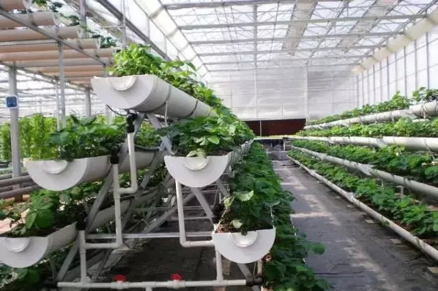 立體U型槽基質(zhì)栽培.jpg 立體U型槽基質(zhì)栽培.jpg