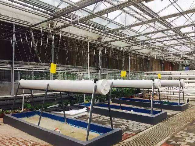 栽培床.jpg 栽培床.jpg