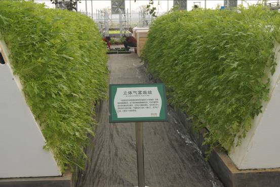 無土栽培氣霧栽培.jpg 無土栽培氣霧栽培.jpg