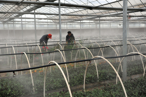 無土栽培噴霧法.jpg 無土栽培噴霧法.jpg