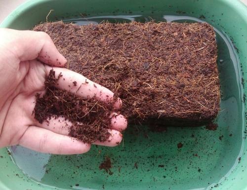 無(wú)土栽培基質(zhì)椰糠.jpg 無(wú)土栽培基質(zhì)椰糠.jpg