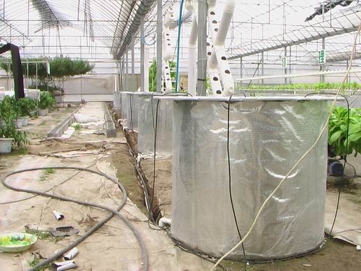 無土栽培桶式氣霧培.jpg 無土栽培桶式氣霧培.jpg