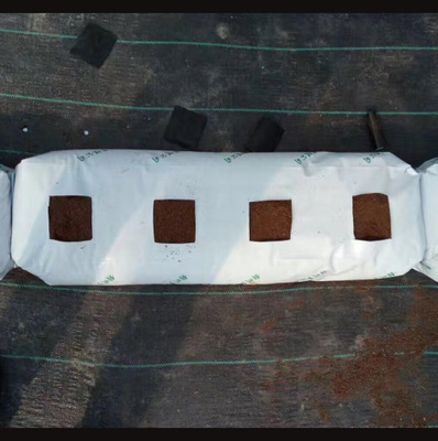 無土栽培椰糠袋.jpg 無土栽培椰糠袋.jpg