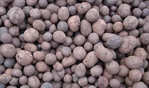 無土栽培基質(zhì)--陶粒.jpg 無土栽培基質(zhì)--陶粒.jpg