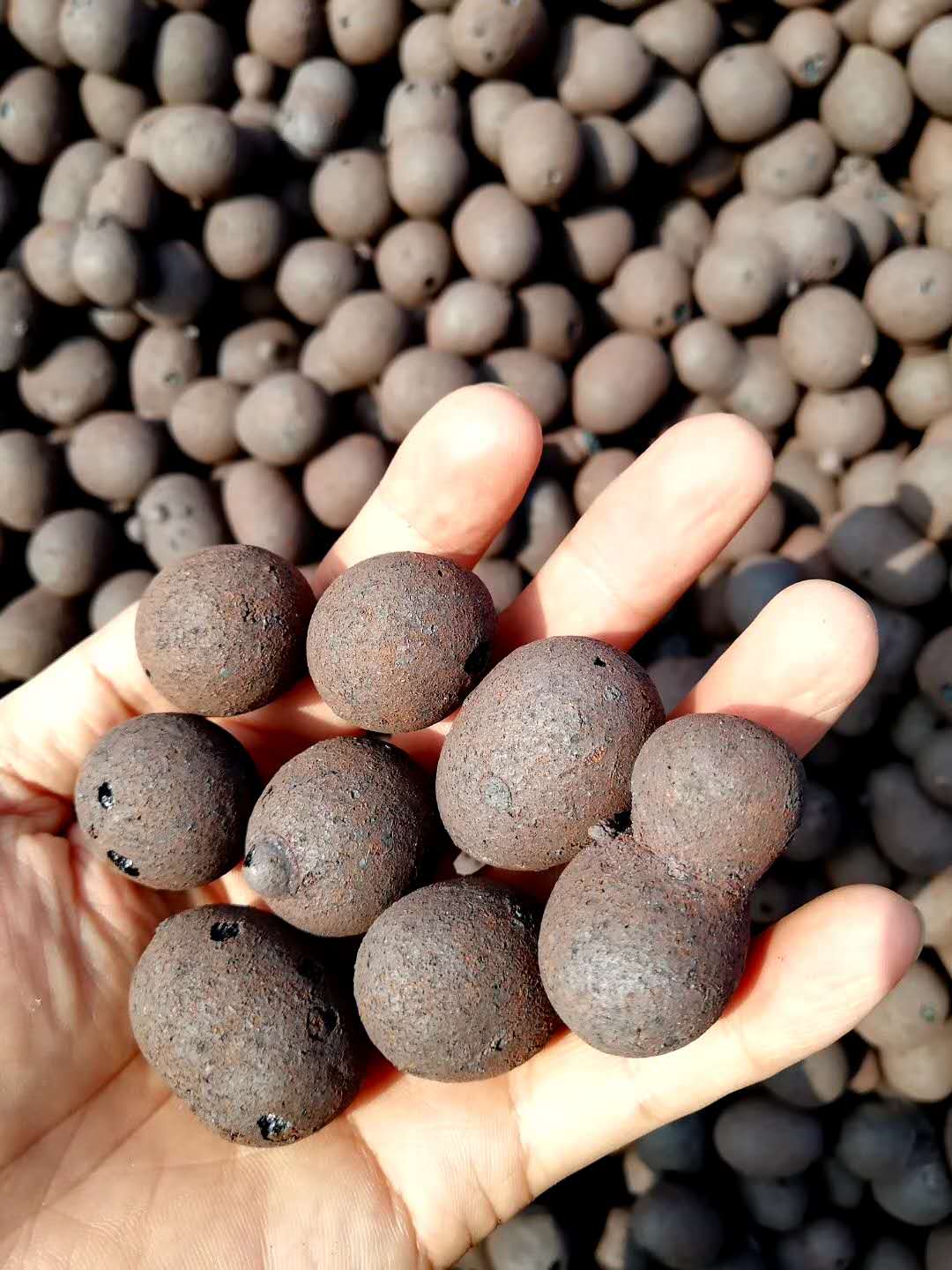 無土栽培基質--陶粒.jpg 無土栽培基質--陶粒.jpg