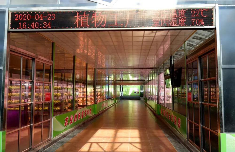 無土栽培--植物工廠.jpg 無土栽培--植物工廠.jpg