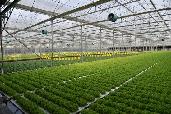 djTV-fzfmzwm4226401.jpg djTV-fzfmzwm4226401.jpg