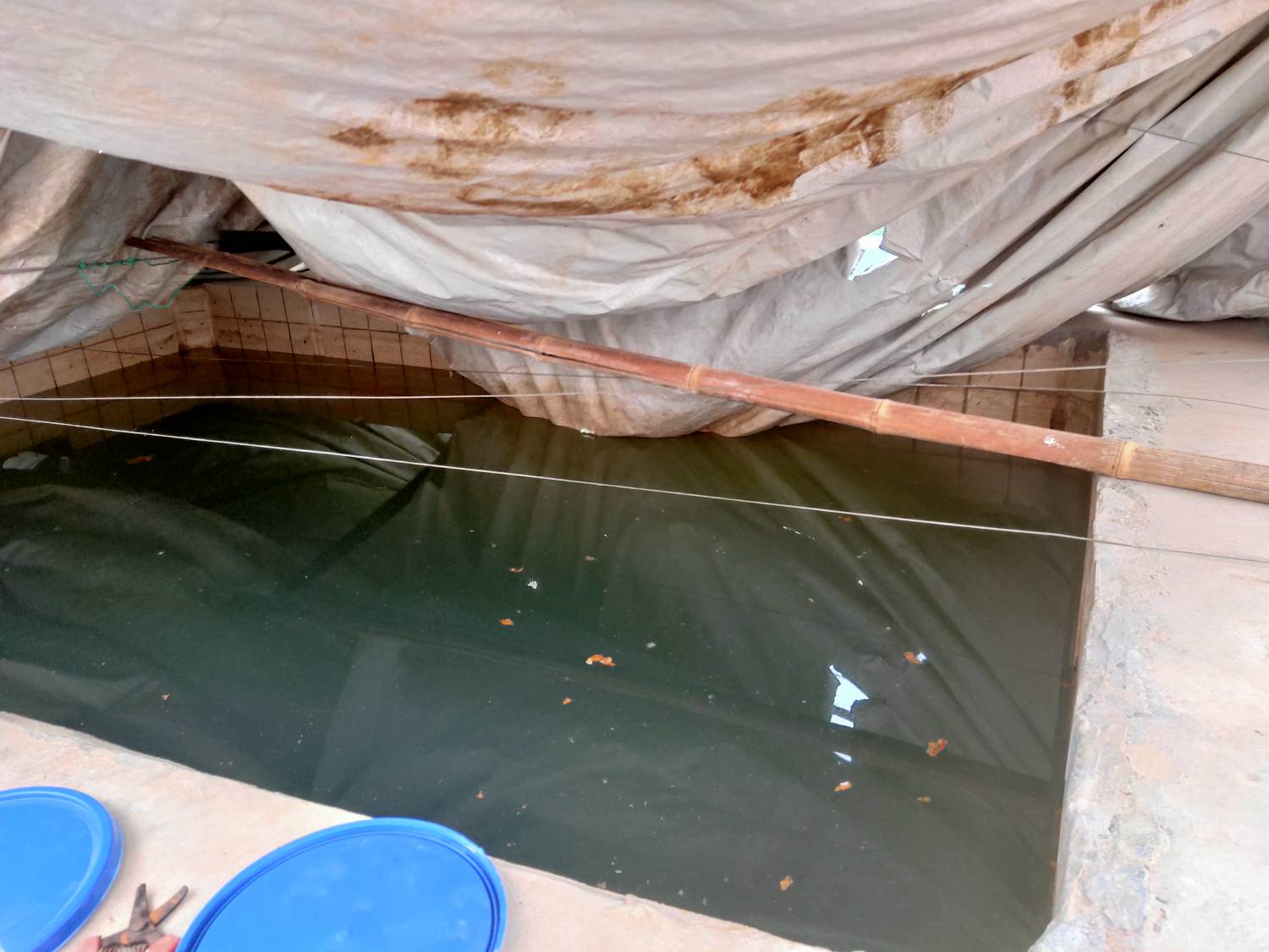 無(wú)土栽培儲(chǔ)液池.jpg 無(wú)土栽培儲(chǔ)液池.jpg