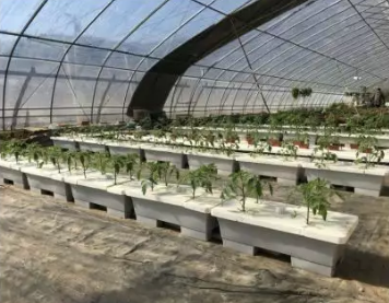 果菜潮汐式灌溉栽培.png 果菜潮汐式灌溉栽培.png