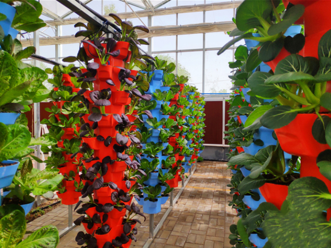 立柱式栽培.png 立柱式栽培.png