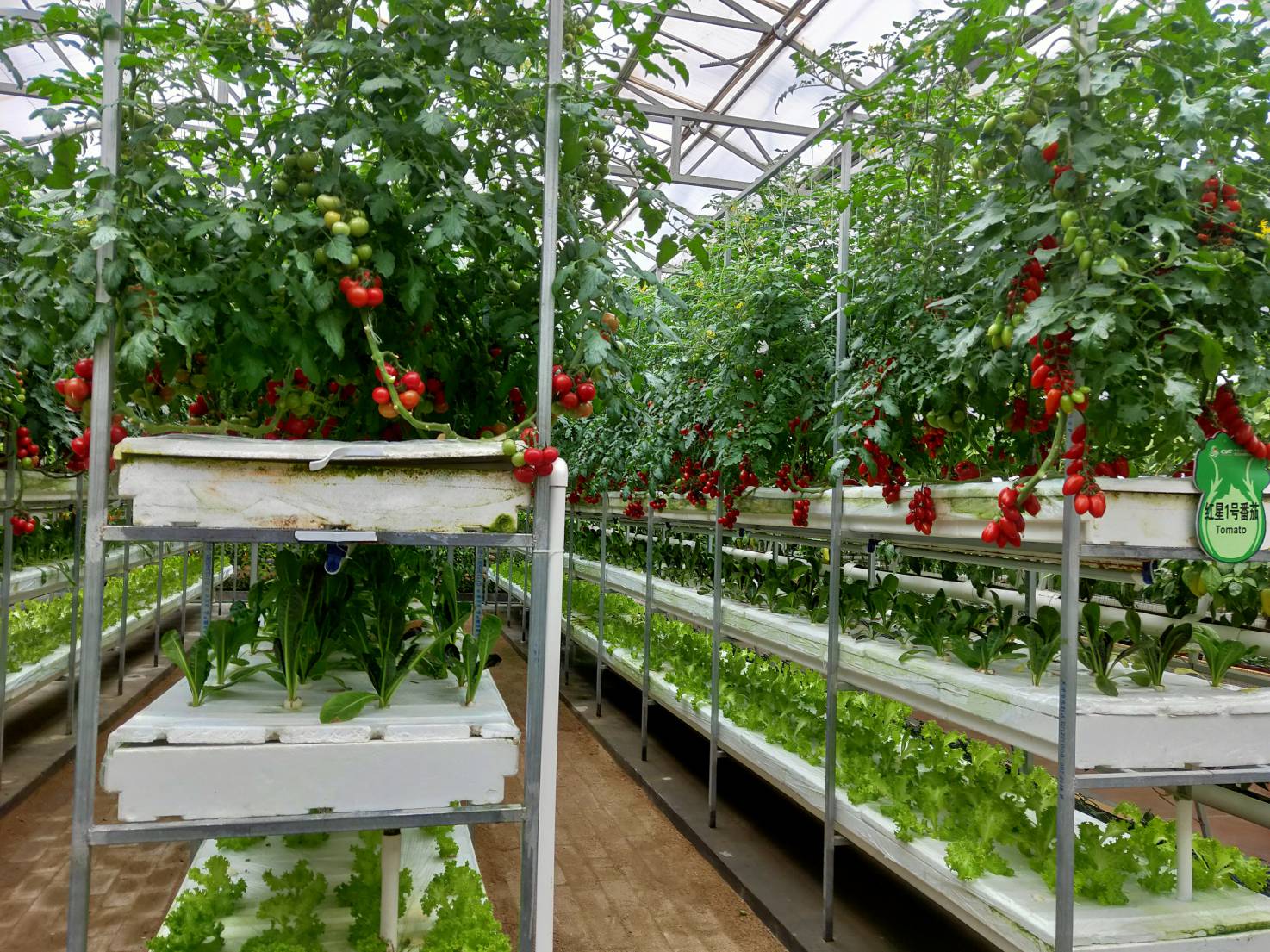 淺液流栽培.jpg 淺液流栽培.jpg