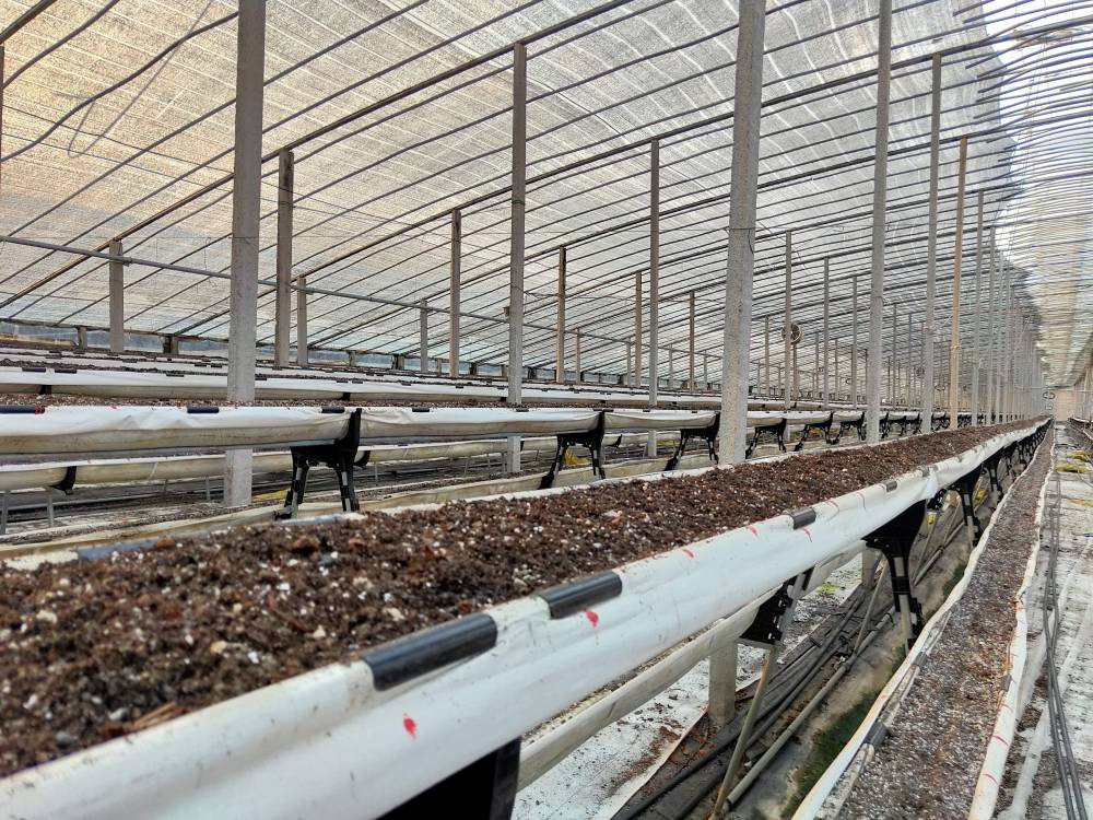 無土栽培草莓種植槽.jpg
