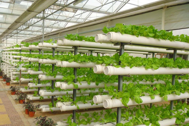 無(wú)土栽培立體管道水培.jpg 無(wú)土栽培立體管道水培.jpg