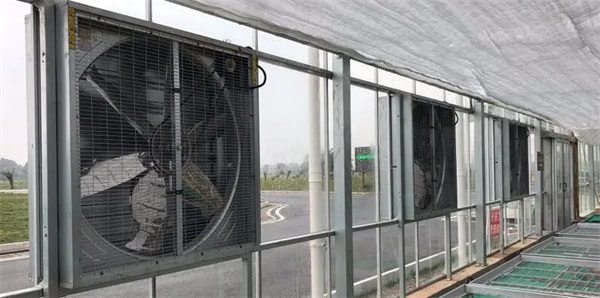 風(fēng)機 風(fēng)機