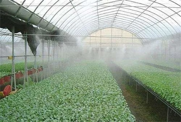 霧噴降溫 霧噴降溫