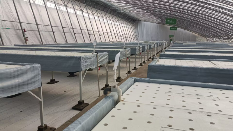 D24B4622D9741E0428209301F246AA03.jpg D24B4622D9741E0428209301F246AA03.jpg