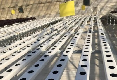 t01fefa82c92c53c105.png t01fefa82c92c53c105.png