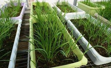 t01696cf021f681664f.jpg t01696cf021f681664f.jpg