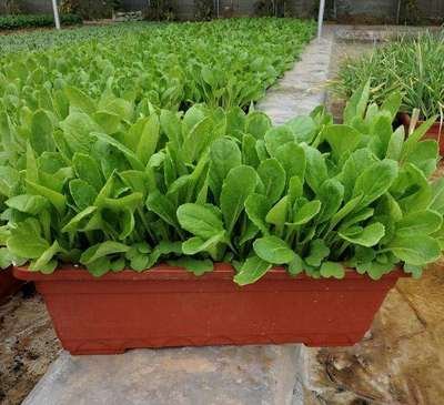 t01af593b97b85b1d6b.jpg t01af593b97b85b1d6b.jpg