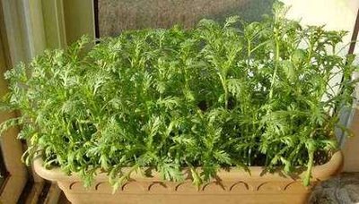 t013d5f787b186150a9.jpg t013d5f787b186150a9.jpg