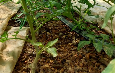 t0330803bc22059d1f3.jpg t0330803bc22059d1f3.jpg