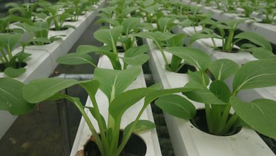 t013bf834429030be9c.jpg t013bf834429030be9c.jpg