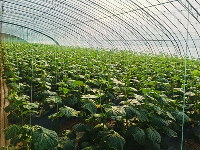 t0193e56b0677ecb874.jpg t0193e56b0677ecb874.jpg