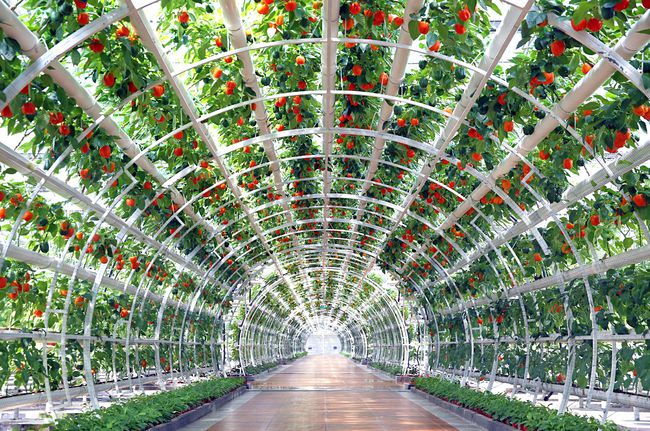 下載 (2).jpg 下載 (2).jpg