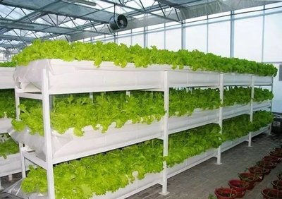 t01df50e48c45384ae0.jpg t01df50e48c45384ae0.jpg