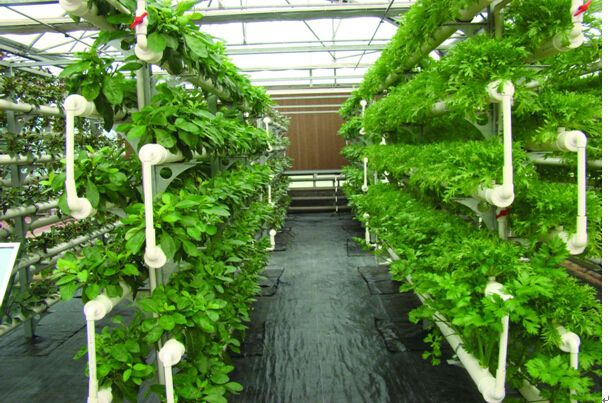 931a6e70c929a321934dd458587ffc33_w755_h00_c0_t0.jpg 931a6e70c929a321934dd458587ffc33_w755_h00_c0_t0.jpg