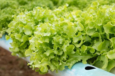 t01982726a94ebc1821.jpg t01982726a94ebc1821.jpg