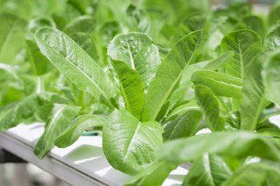 t013a3b1e79712edb44.jpg t013a3b1e79712edb44.jpg