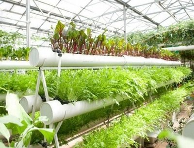 t01da7405b7660a896d.jpg t01da7405b7660a896d.jpg