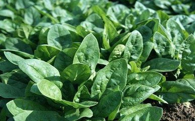 t01c52eb4e41cf96870.jpg t01c52eb4e41cf96870.jpg