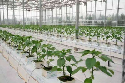 t01ec6bf2807e427be0.jpg t01ec6bf2807e427be0.jpg