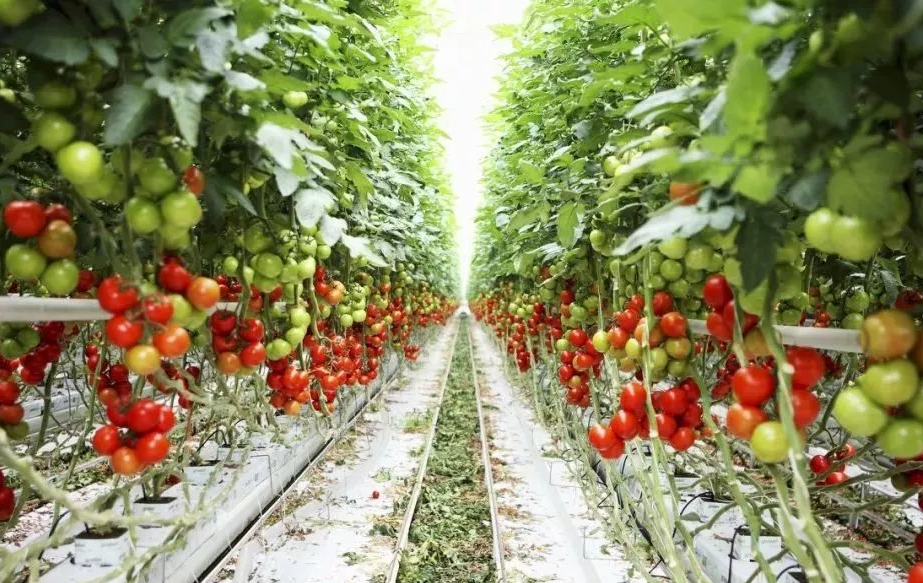 bd22cb80efd4423fb38a53feb2e0b327.png bd22cb80efd4423fb38a53feb2e0b327.png