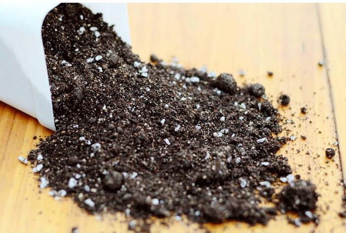 w700d1q75cms.jpg w700d1q75cms.jpg