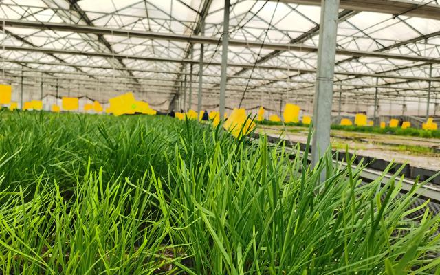 8ee3-7bc0c5922e734370e8d49170efa0bbb8.jpg 8ee3-7bc0c5922e734370e8d49170efa0bbb8.jpg