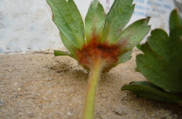 3_78832_eb9d9e52c06926f.png 3_78832_eb9d9e52c06926f.png