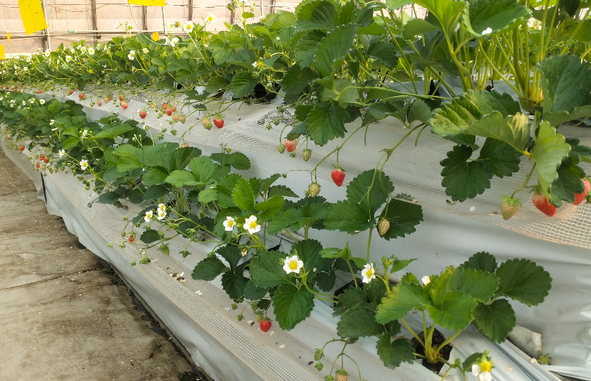 下載0 (45).png 下載0 (45).png