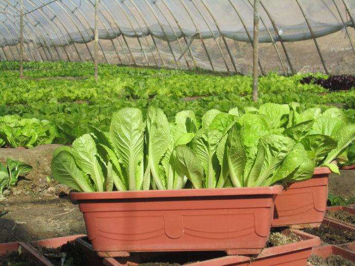 162847931.jpg 162847931.jpg