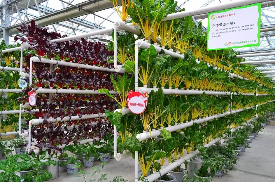 下載0 (41).png 下載0 (41).png