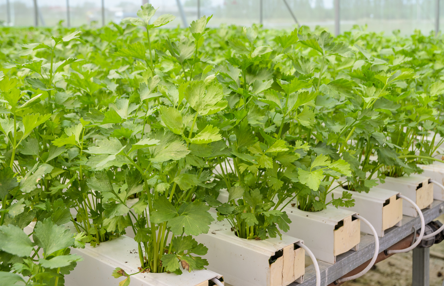 004 (1).png 004 (1).png