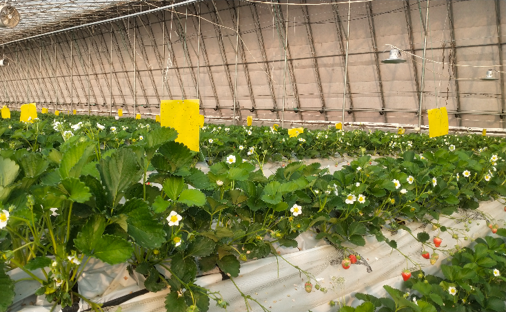 下載0 (89).png 下載0 (89).png