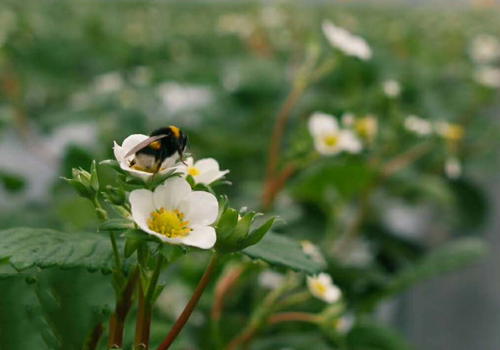 5942620.png 5942620.png